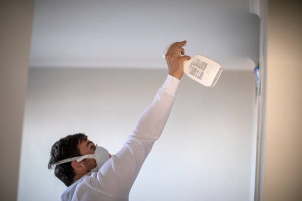 Best HVAC Mold Remediation in Sidney, IL
